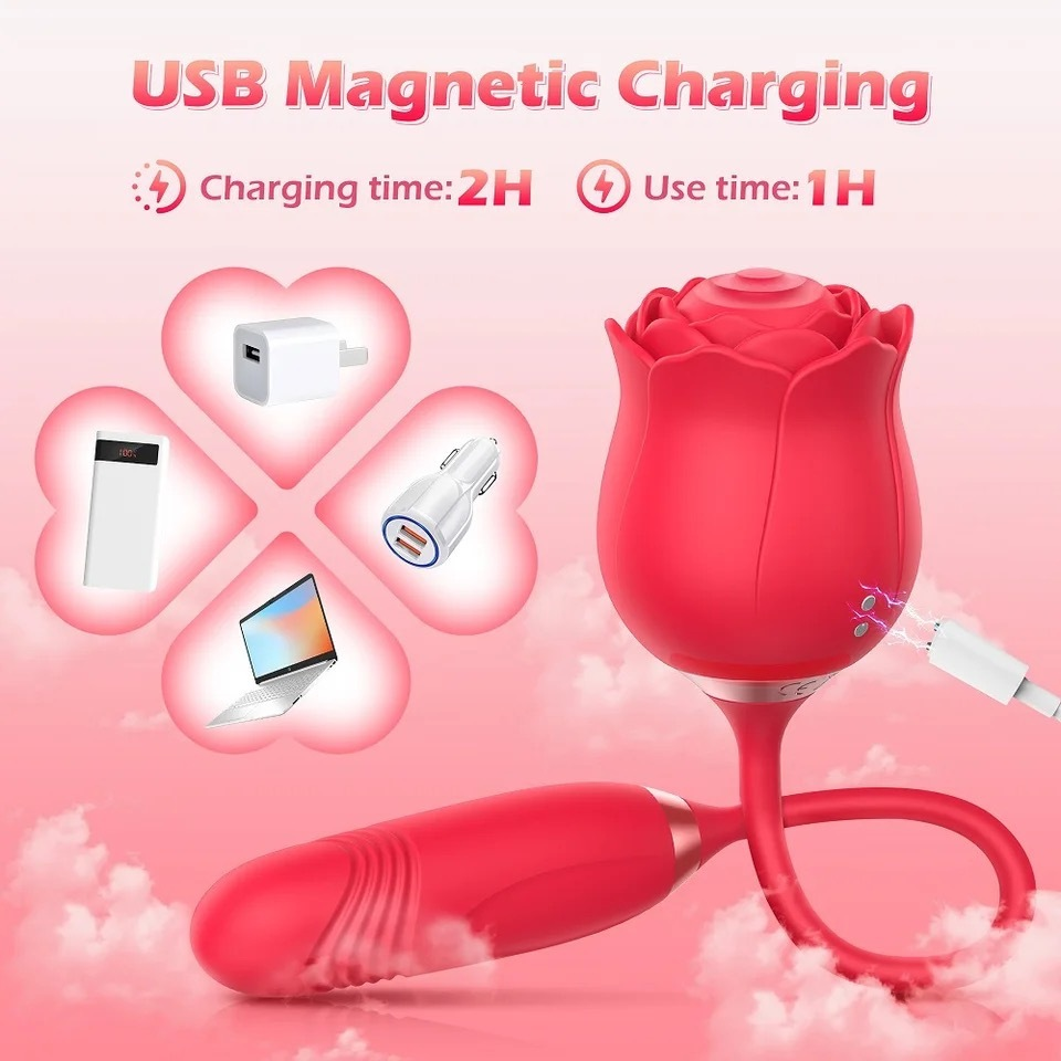Vibrador Rosa Sugador com Vibrador vai e vem, Clitóris Vagina e Anal Recarregável ZDB-ROSA
